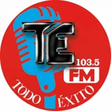 Logo de Todo Éxito